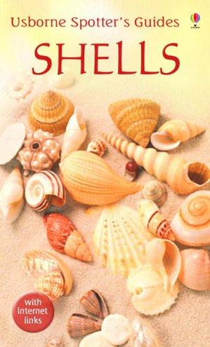 Shells (Usborne Spotter's Guide)