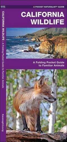 California Wildlife: A Folding Pocket Guide to Familiar Species (Pocket Naturalist Guide Series)