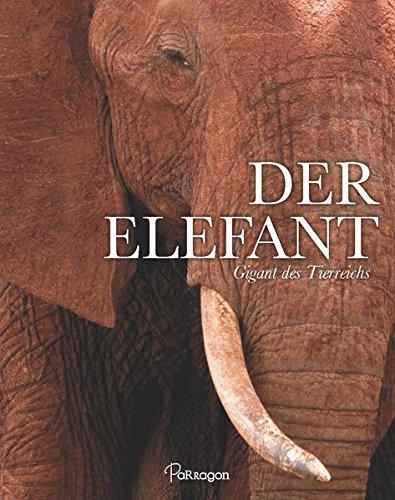 Der Elefant: Gigant des Tierreichs