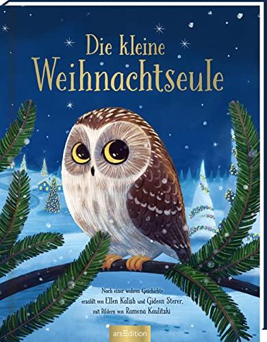 Die kleine Weihnachtseule: Nach einer wahren Geschichte, Bilderbuch Geschenk Weihnachten, für Kinder ab 4 Jahren