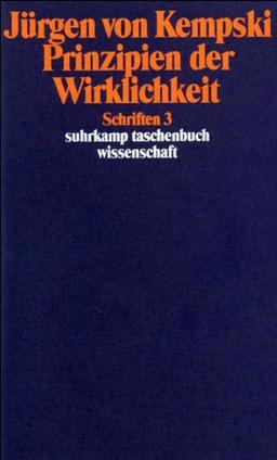 Prinzipien der Wirklichkeit: Schriften 3 (suhrkamp taschenbuch wissenschaft)