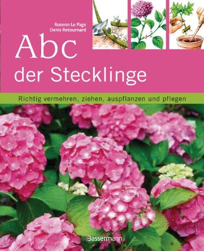 Abc der Stecklinge: Richtig vermehren, ziehen, auspflanzen und pflegen