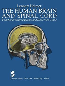 The Human Brain and Spinal Cord: Functional Neuroanatomy and Dissection Guide