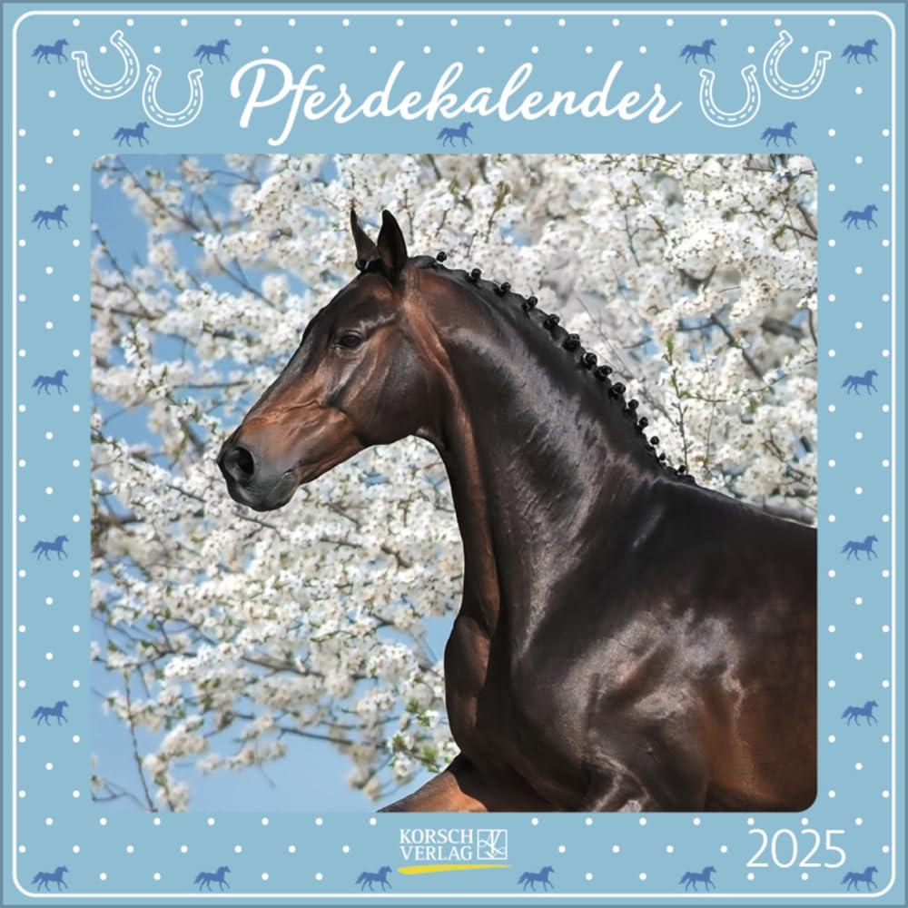 Pferdekalender 2025: Broschürenkalender mit Ferienterminen. Pferde und Ponys. 30 x 30 cm