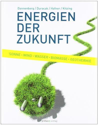 Energien der Zukunft: Sonne, Wind, Wasser, Biomasse, Geothermie