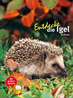 Entdecke die Igel (NTV Kinderbuch)