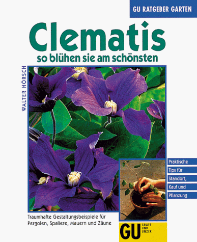 Clematis. So blühen sie am schönsten