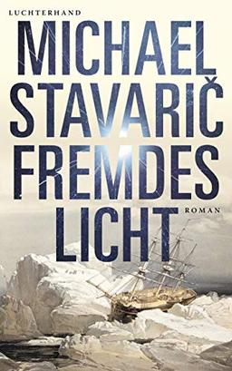 Fremdes Licht: Roman