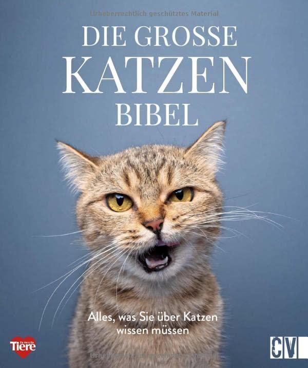 Die große Katzenbibel: Alles, was Sie über Katzen wissen müssen