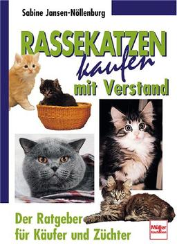 Rassekatzen kaufen mit Verstand