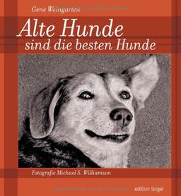 Alte Hunde sind die besten Hunde