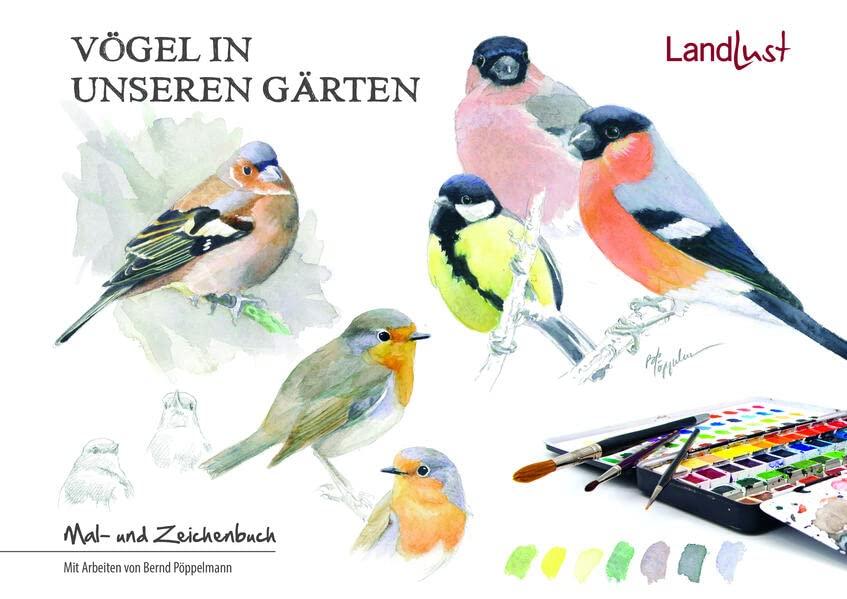 Vögel in unseren Gärten: Mal- und Zeichenbuch