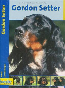 Gordon Setter, Praxisratgeber