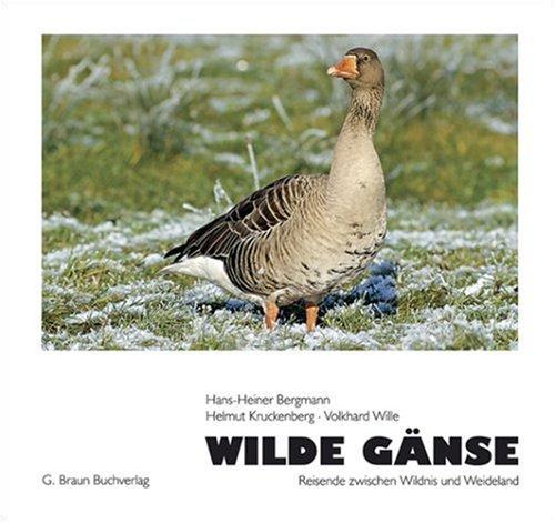 Wilde Gänse: Reise zwischen Wildnis und Weideland