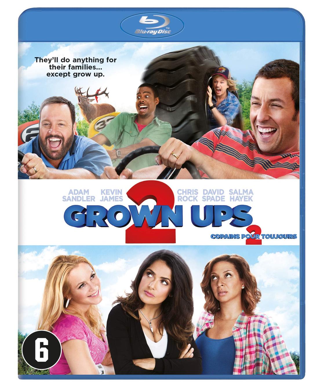 Grown ups 2