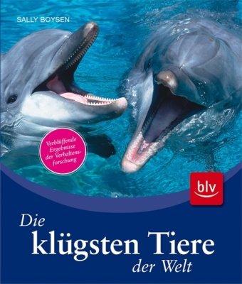 Die klügsten Tiere der Welt: Verblüffende Ergebnisse der Verhaltensforschung