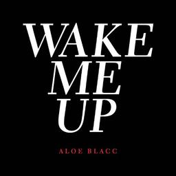 Wake Me Up (2-Track)