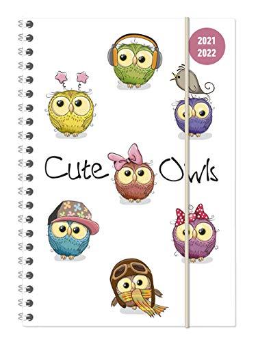 Collegetimer Cute Owls 2021/2022 - Schüler-Kalender A5 (15x21 cm) - Eule - Ringbindung - Weekly - 224 Seiten - Terminplaner - Alpha Edition (Collegetimer A5 Ringbuch)