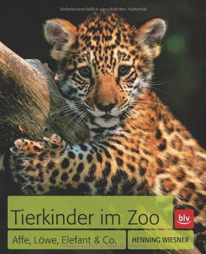 Tierkinder im Zoo: Affe, Löwe, Elefant & Co.