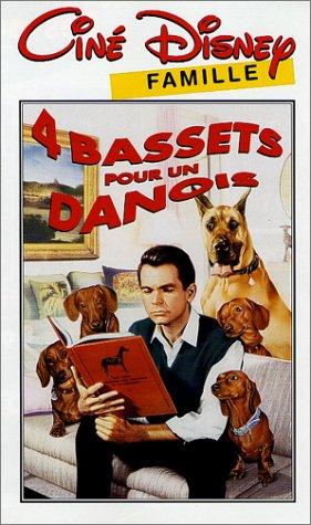 4 bassets pour 1 danois