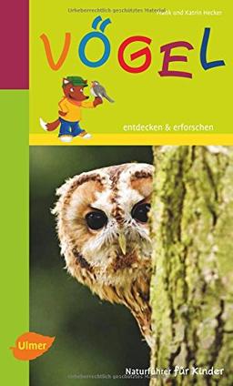 Vögel: Entdecken und erforschen