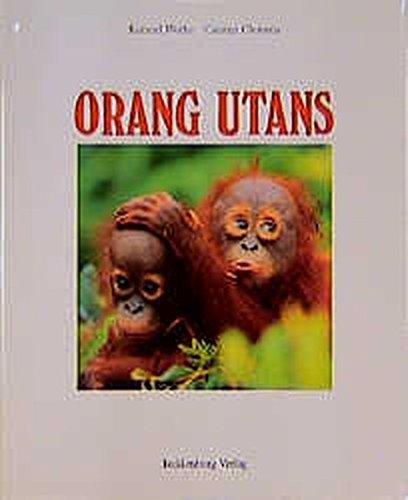 Orang-Utans: Die Waldmenschen von Borneo