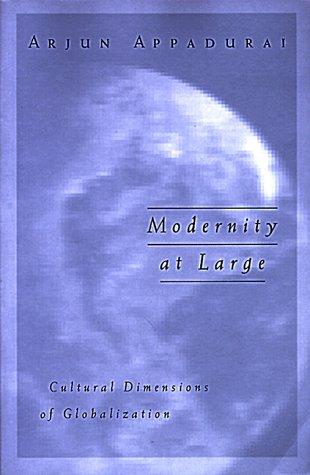 Modernity at Large: Cultural Dimensions in Globalization (Public Worlds)