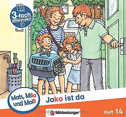 Mats, Mila und Molli – Heft 14: Jako ist da – C: Eine Geschichte in drei Schwierigkeitsstufen