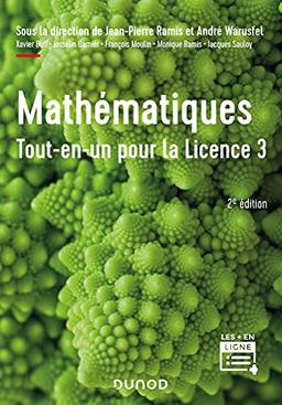 Mathématiques, tout-en-un pour la licence 3