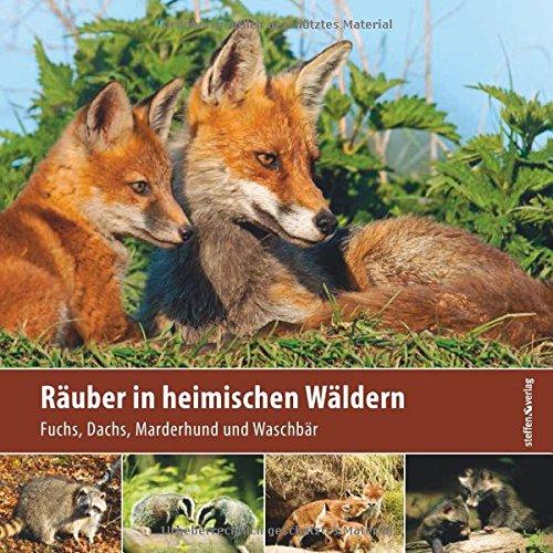 Räuber in heimischen Wäldern: Fuchs, Dachs, Marderhund und Waschbär