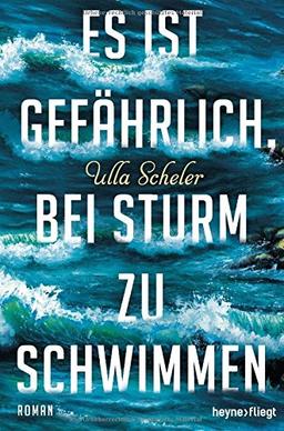 Es ist gefährlich, bei Sturm zu schwimmen: Roman