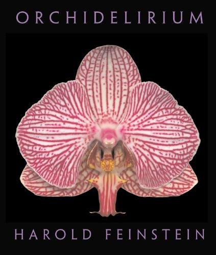 Orchidelirium