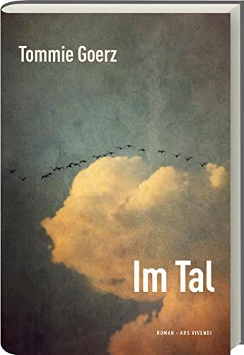 Im Tal: Roman