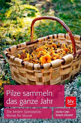 Pilze sammeln das ganze Jahr: Die besten Speisepilze Monat für Monat