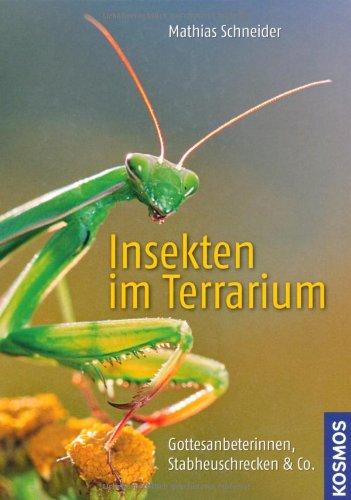 Insekten im Terrarium: Gottesanbeterinnen, Stabheuschrecken & Co.