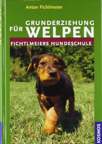 Grunderziehung für Welpen: Fichtlmeiers Hundeschule