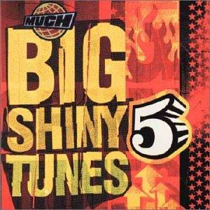 Big Shiny Tunes Vol. 5