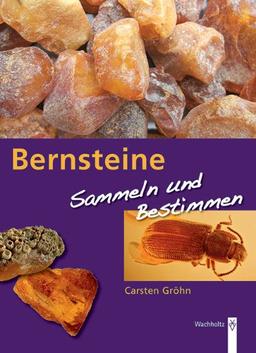 Bernstein: Suchen und sammeln