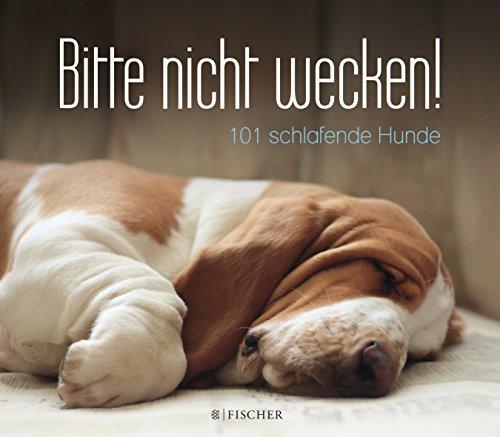 Bitte nicht wecken!: 101 schlafende Hunde (Geschenkausgabe, gebunden) (Ratgeber / Lebenskrisen)