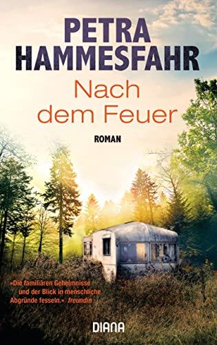 Nach dem Feuer: Roman