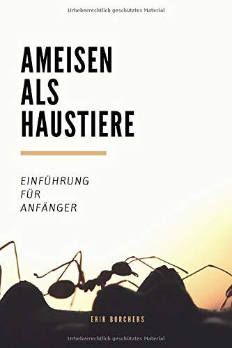 Ameisen als Haustiere: Einführung für Anfänger