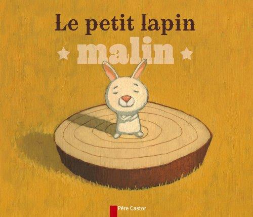 Le petit lapin malin