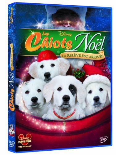 Les chiots de noël ; la relève est arrivée [FR Import]