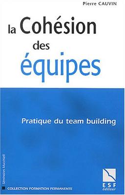 La cohésion des équipes : pratique du team building