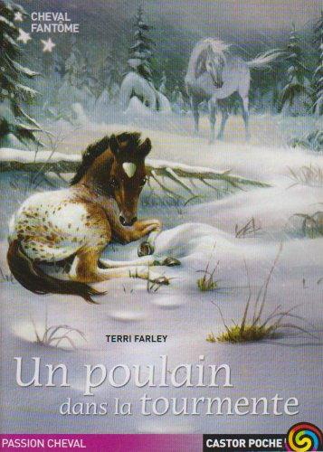 Cheval fantôme. Vol. 5. Un poulain dans la tourmente