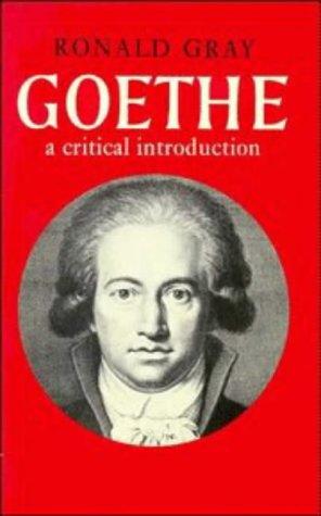 Goethe: A Critical Introduction (Major European Authors Series)