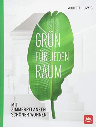 Grün für jeden Raum: Mit Zimmerpflanzen schöner wohnen