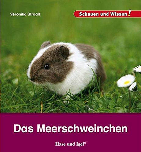 Das Meerschweinchen: Schauen und Wissen!