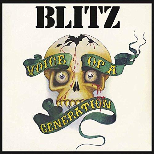 Voice of a Generation [Vinyl LP]