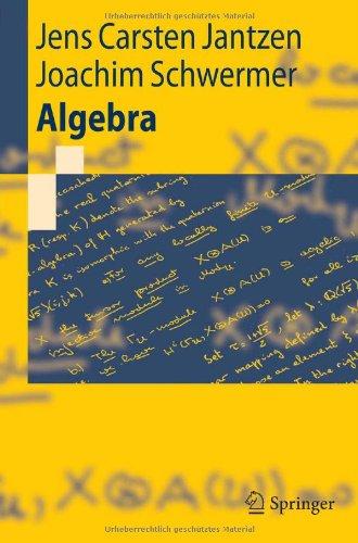 Algebra (Springer-Lehrbuch)